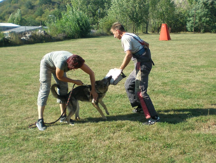 Nepojmenovaný 3.jpg